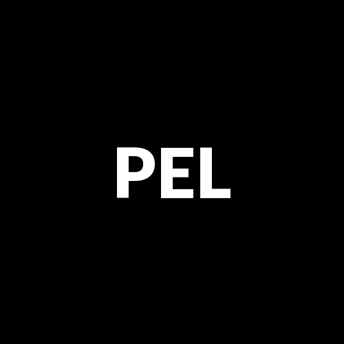 Pelican Acquisition Rights Exp 05th February 2030 λ‘κ³