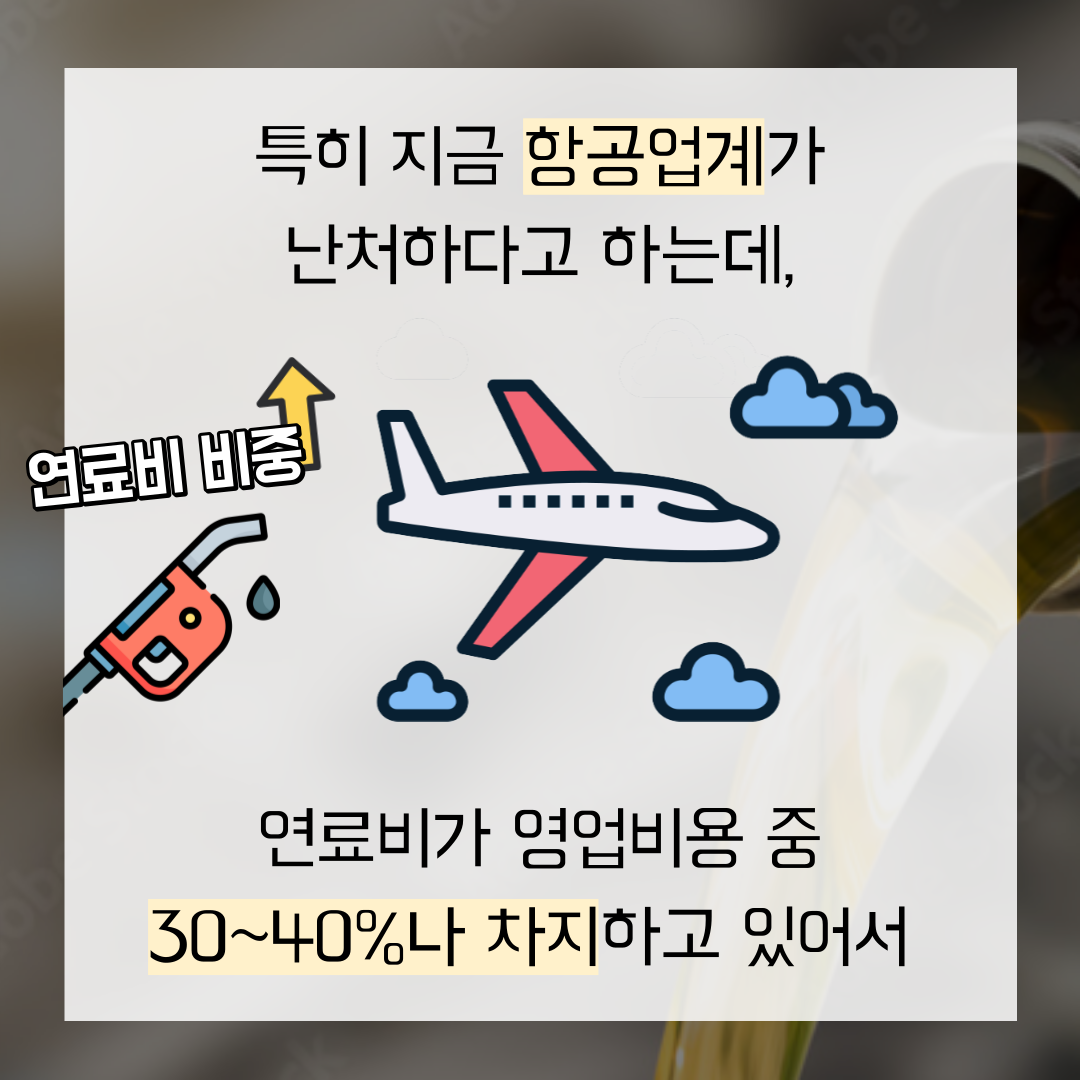 이미지 7
