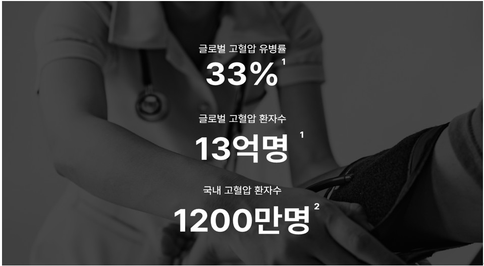 스카이랩스 고혈압 유병률과 목표 시장 (출처: 스카이랩스 증권신고서, DART)