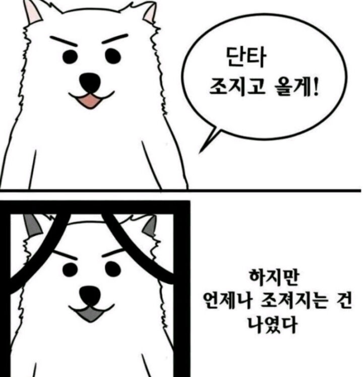 이미지 1
