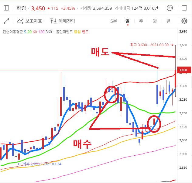 이미지 1