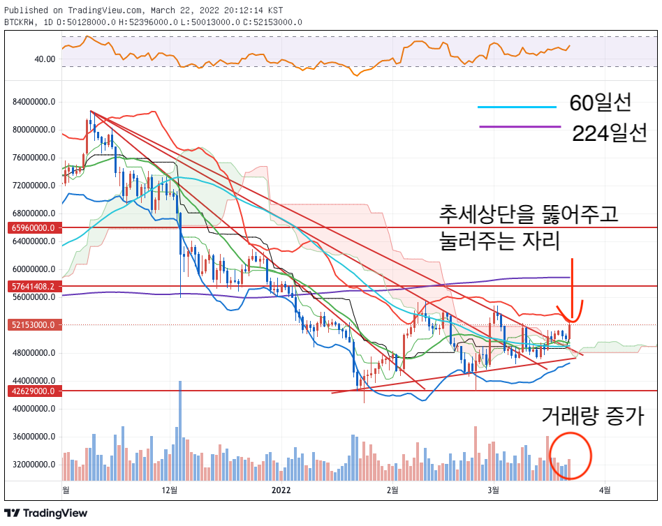 이미지 1