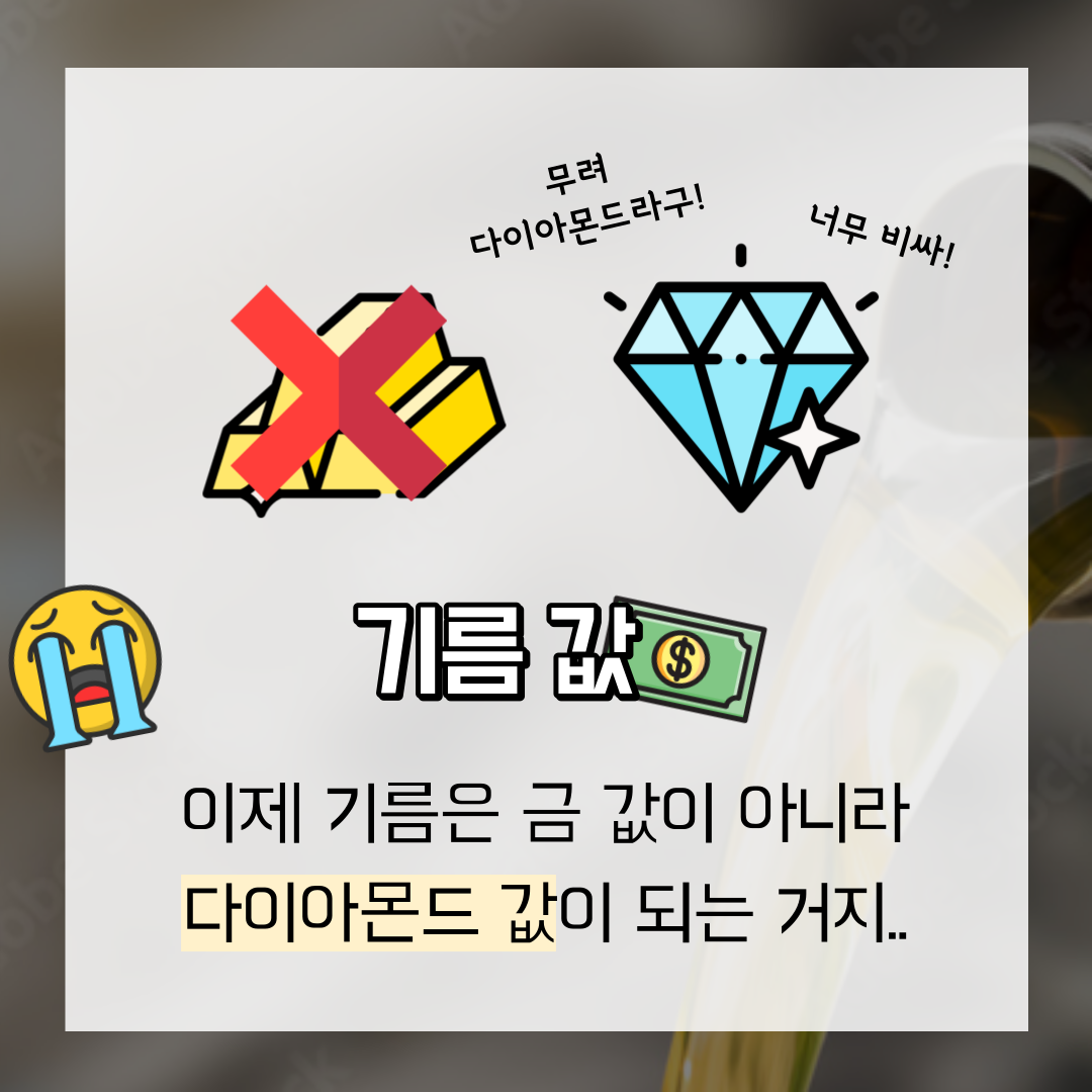 이미지 5