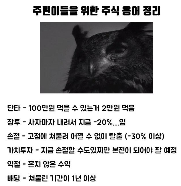 이미지 1