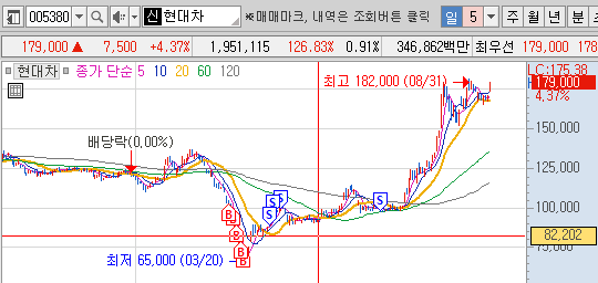 이미지 1