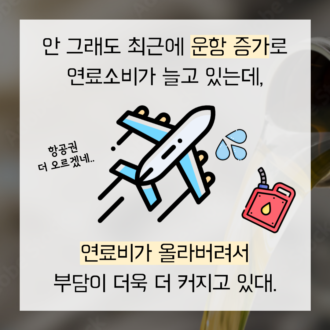 이미지 8