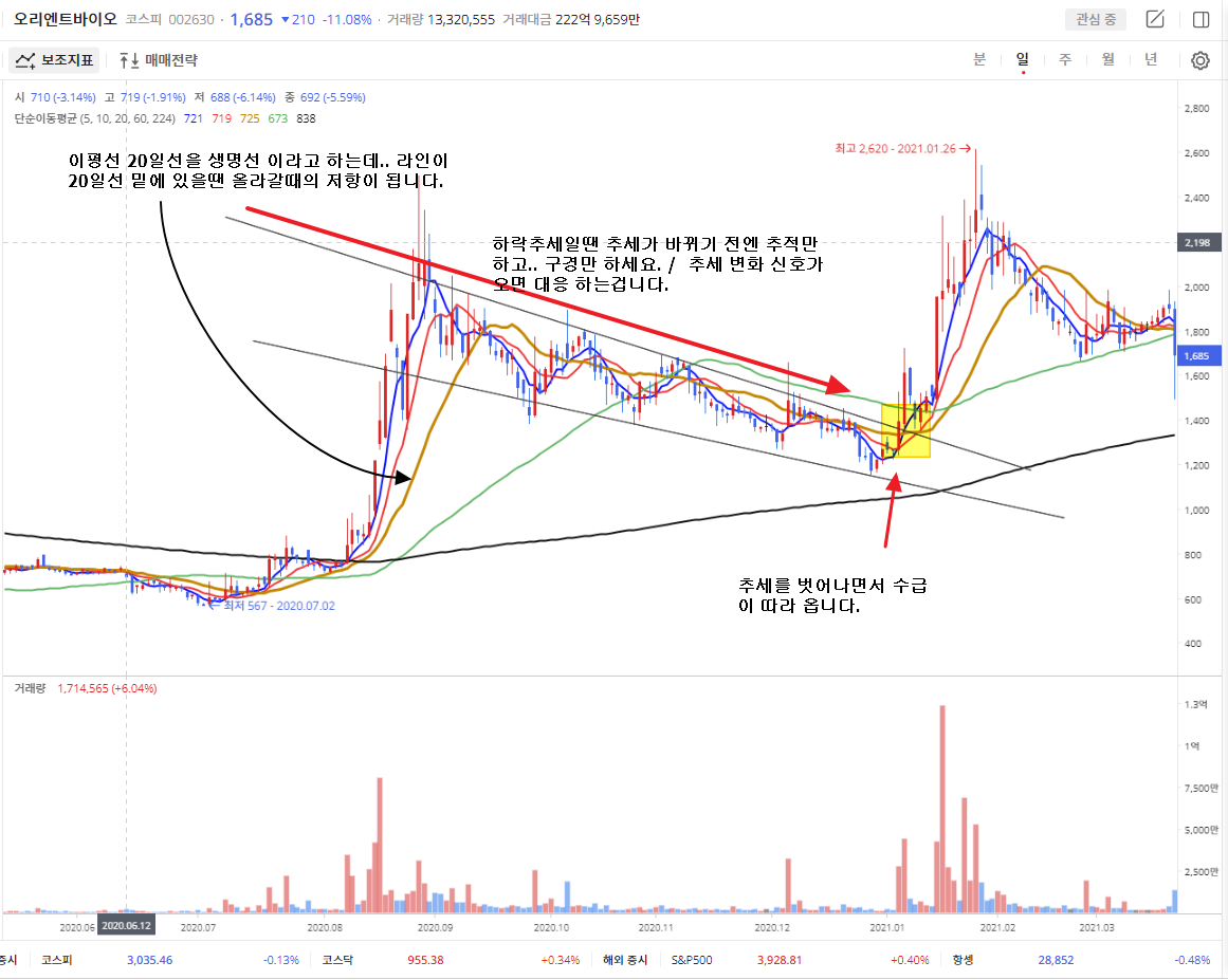 이미지 1