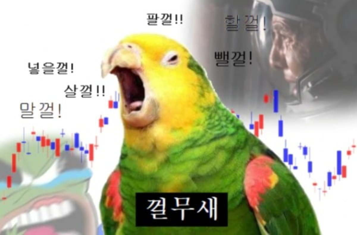 이미지 1