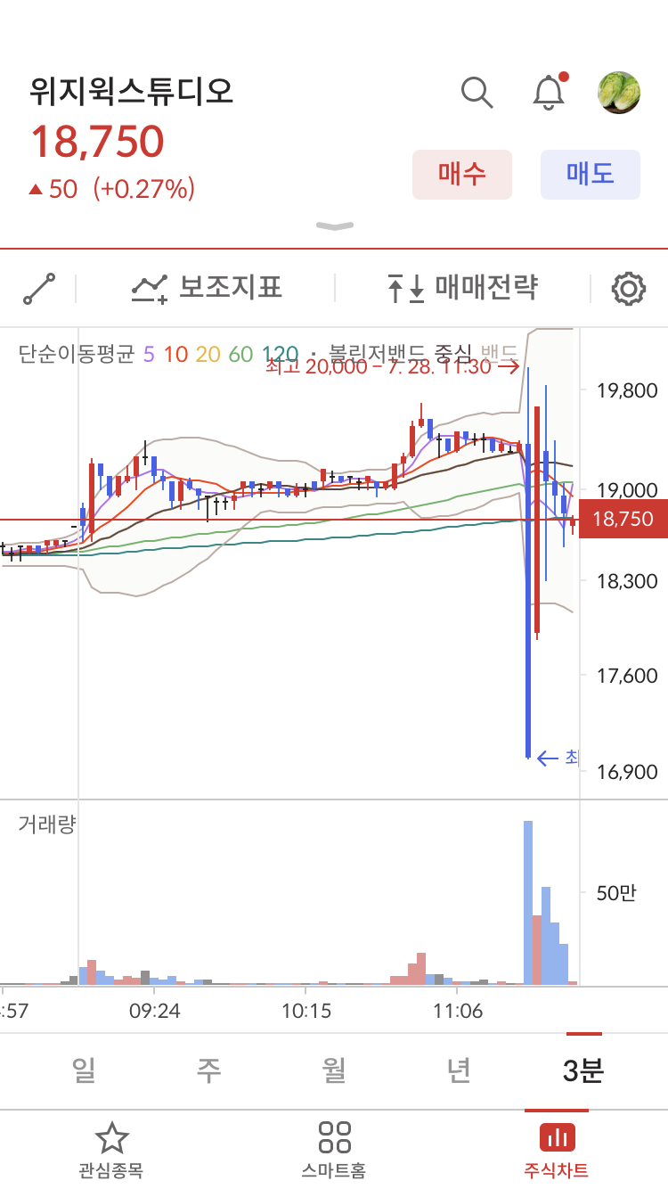 이미지 1